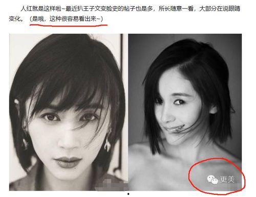 明星黑料最新,明星黑料曝光，真相背后引人深思