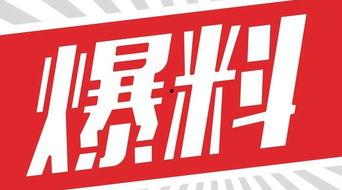 獨(dú)家爆料,震驚內(nèi)幕，揭秘事件背后真相！