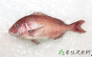 國產鯛魚怎么吃才好吃視頻,解鎖鯛魚佳肴新境界