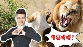 搞笑喪尸片視頻國產(chǎn)片